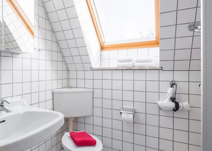 Duenenrose Norderney