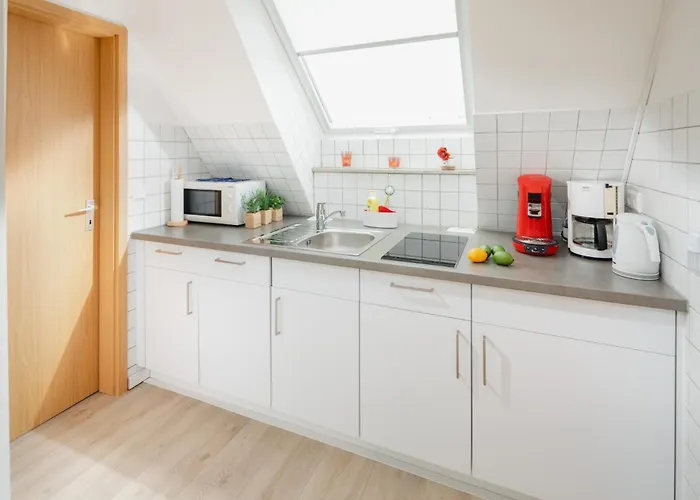 Duenenrose Norderney